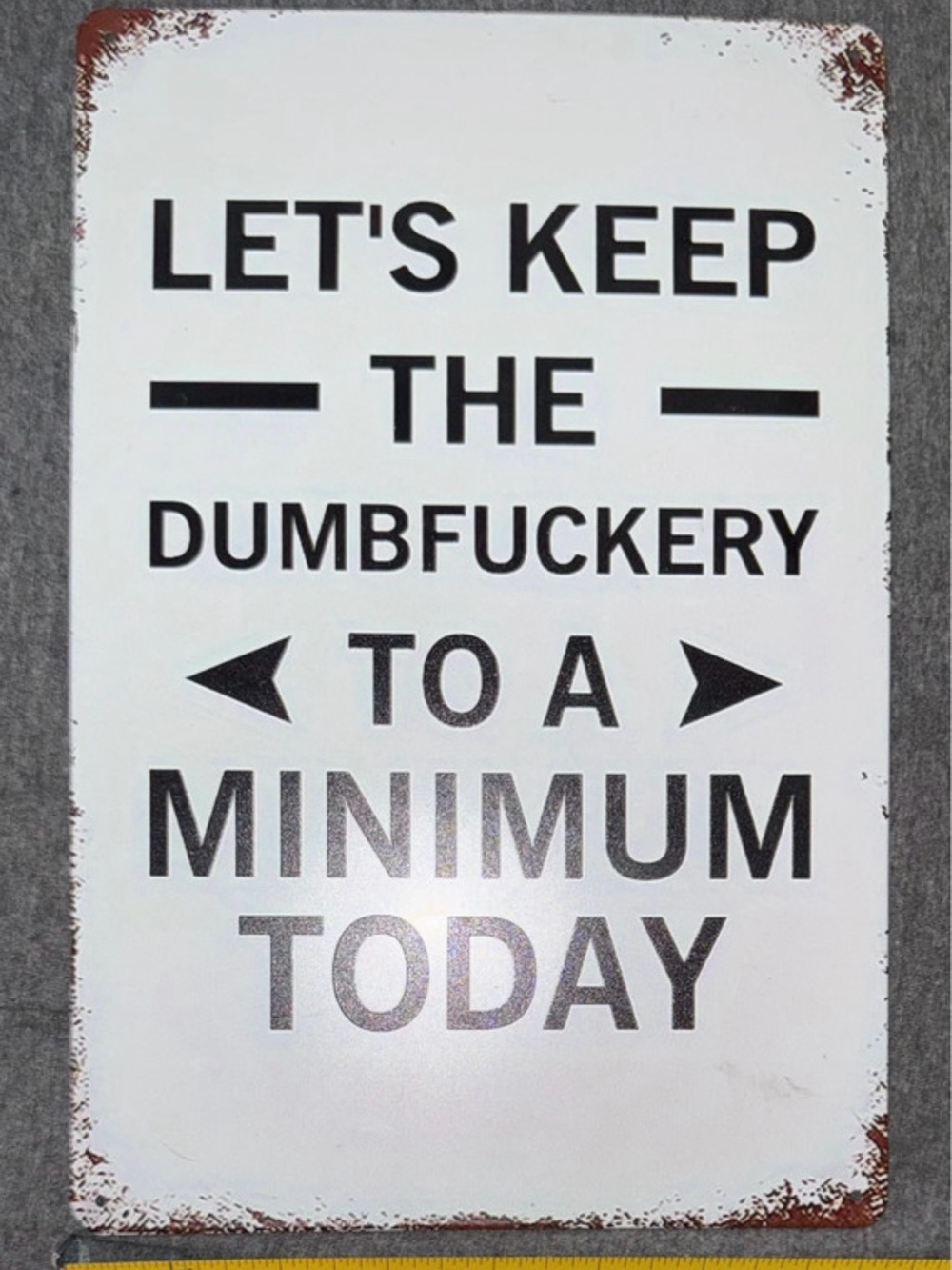 Keep The Dumbfuckery To A Minimum Funny Metal Sign